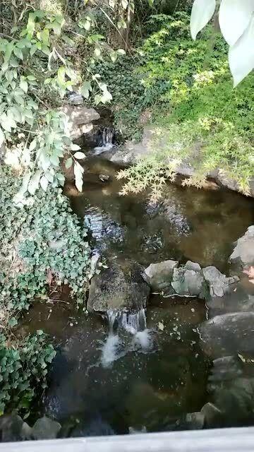 逃离绿色山谷