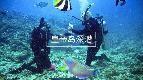 水果时尚风格