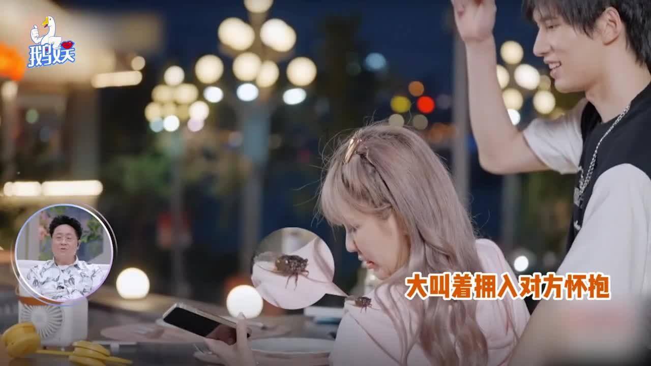 热带假日