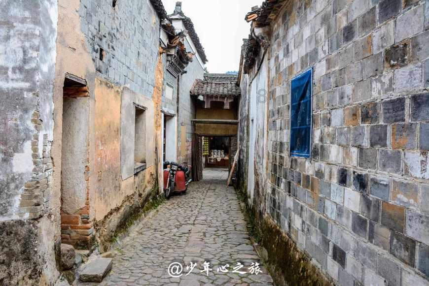 64岁倪萍辟谣整容传闻:岁月无痕,容颜自然。