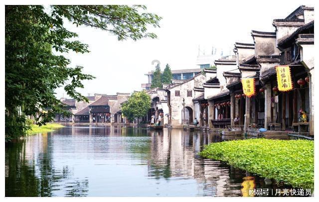 他改良碱地西红柿种植方法,实现一年两茬,带领当地农户发家致富