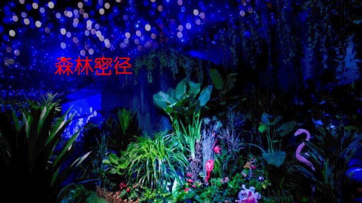 宁夏防沙治理生态修复草籽品种